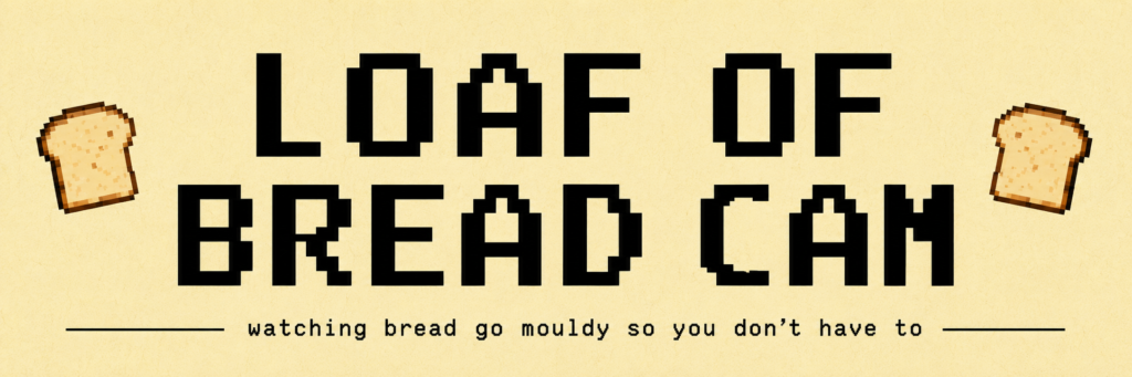 Loaf of bread cam